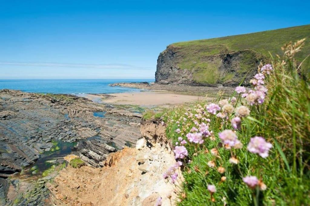 Kallowen Cottage At Crackington Haven, Near Bude And Boscastle, Cornwall Extérieur photo